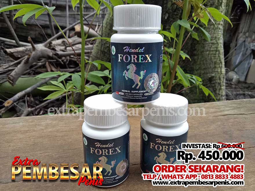 Hendel Forex Asli Hendel Forex Asli